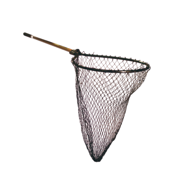 Fishing Baits & Lures